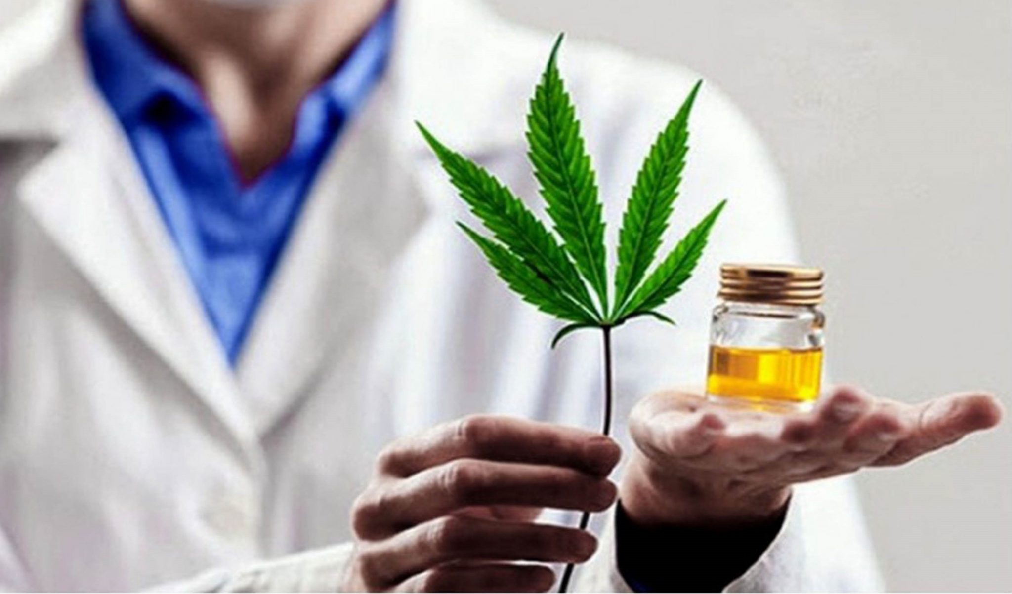 APPROFONDIMENTI SULLA CANNABIS AD USO MEDICO - III EDIZIONE